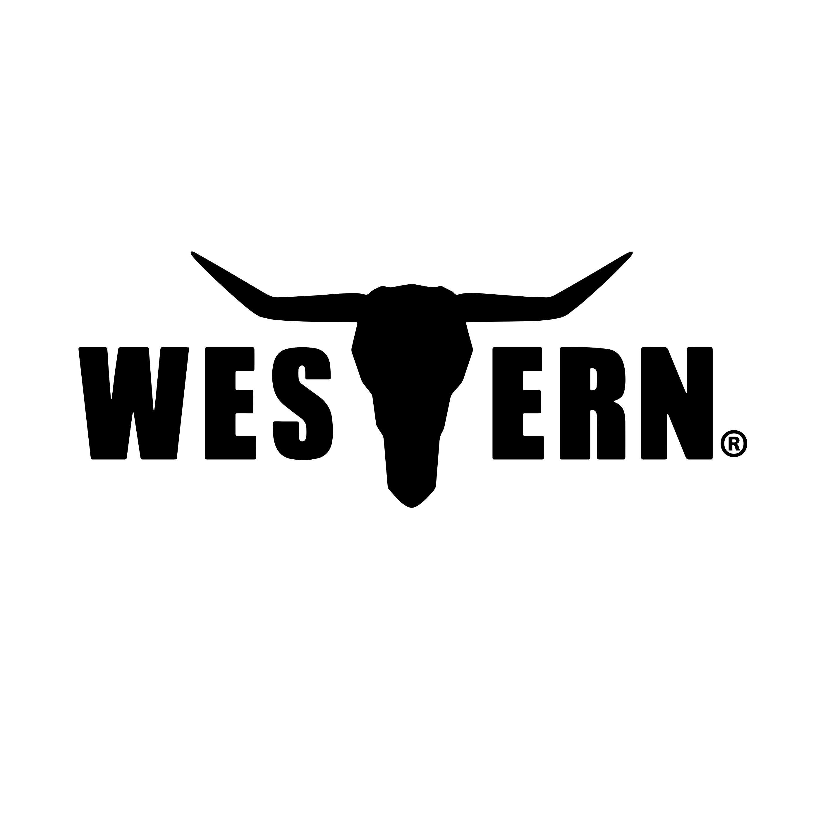 Western T Brand LLC