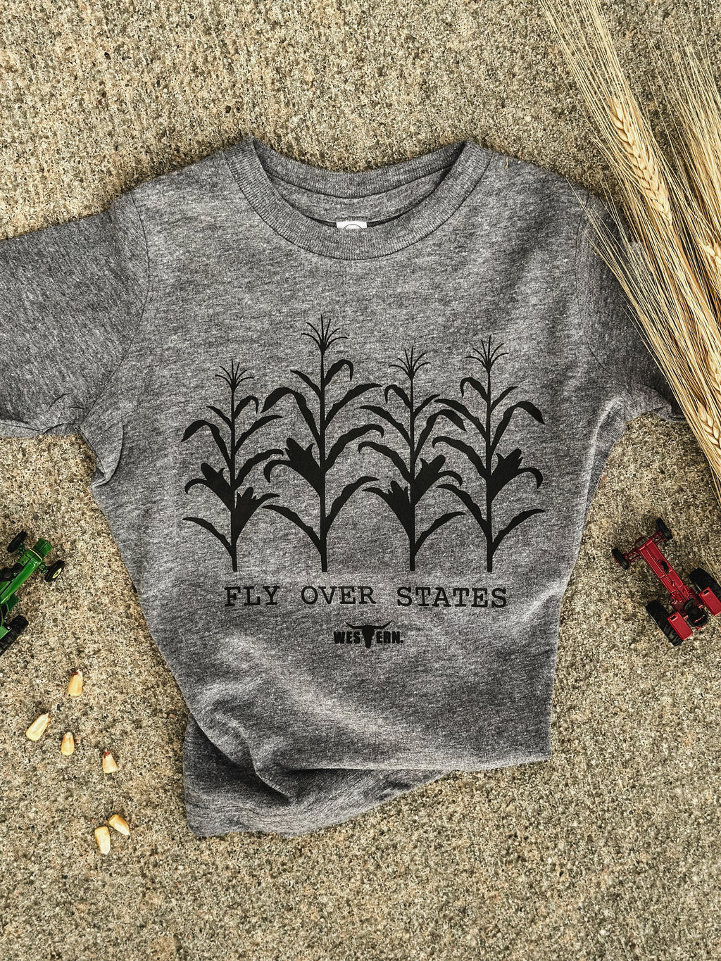 Fly Over States T Toddler - Grey