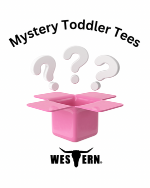 Mystery Bundle Toddler - 2 Items
